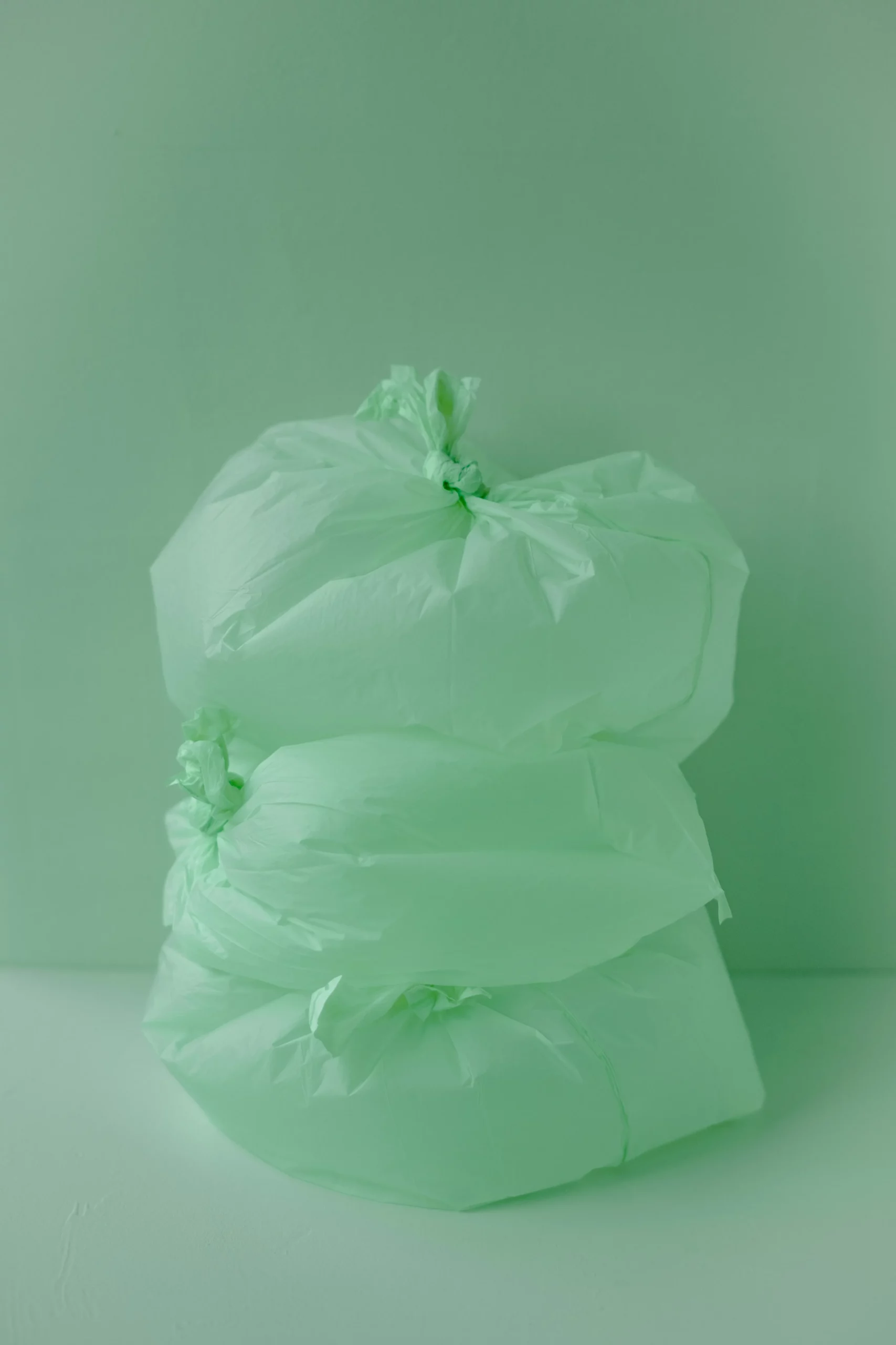 Life Cycle of Compostable Bags