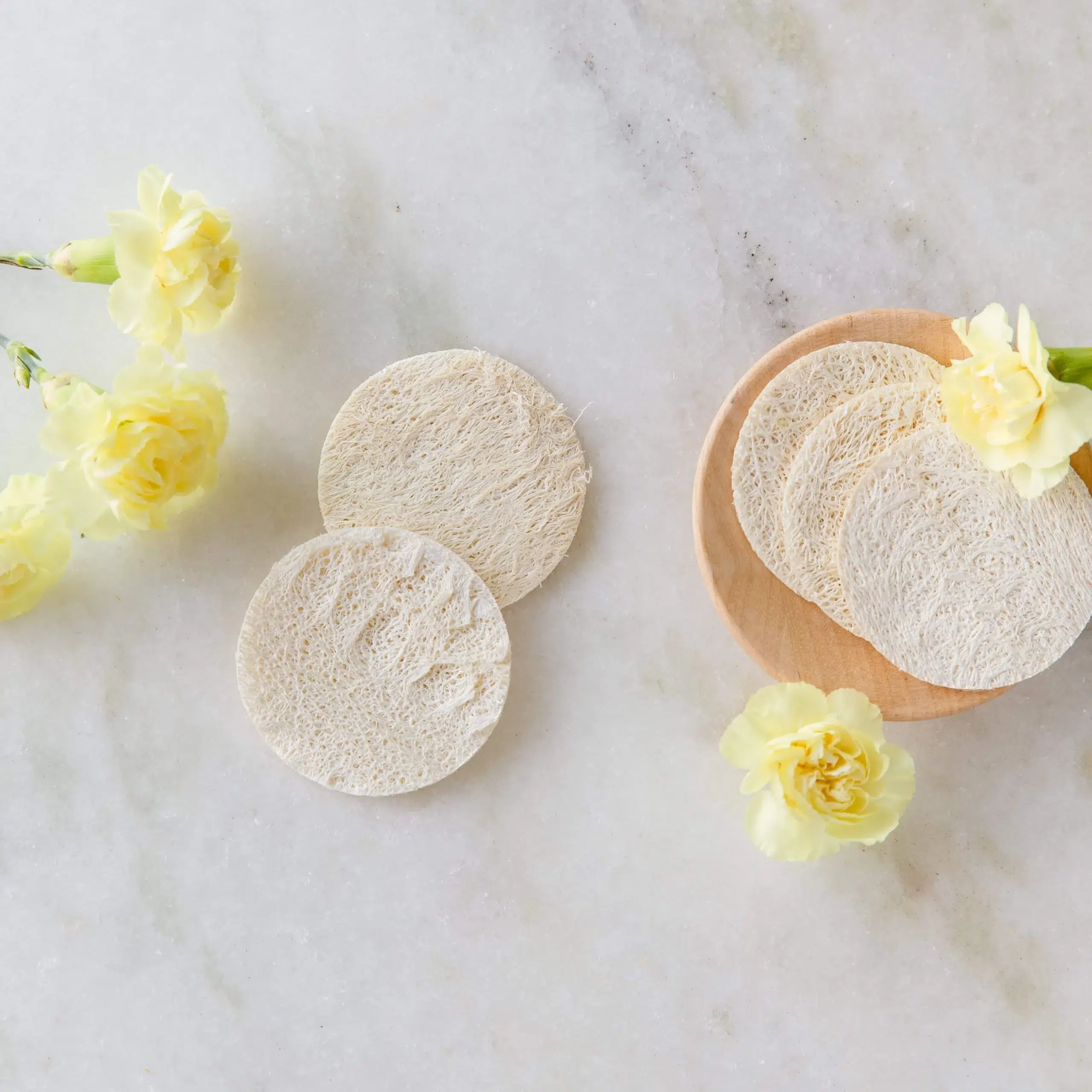 Zero Waste Facial Loofah Scrubber